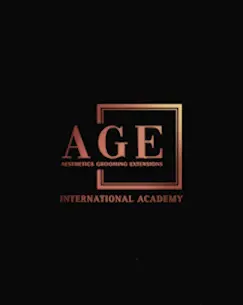 ageinternationalacademyludhianalogo